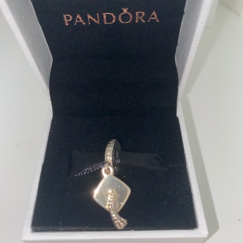 Pandora Bracelet Charm